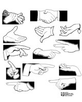 HANDS  1.iff