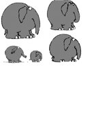 ELEPHANTS.iff