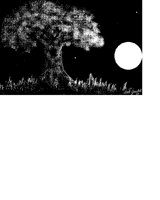 MOON.iff