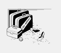 JUST MARRIED SUITCASES1.iff