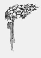 HANDS AND BOUQUET.iff