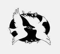 DOVES WITH RINGS.iff