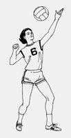 VOLLEYBALL_FEMALE.iff