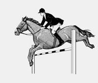 SHOWJUMPING2.iff