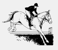 SHOWJUMPING.iff