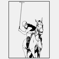 POLO.iff