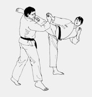KARATE.iff