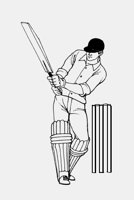 CRICKET.iff