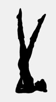 SPORT_AEROBICS.iff
