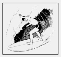 WIND-SURFING.iff