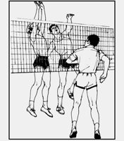 VOLLEY-BALL.iff