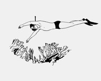 SNORKELING.iff