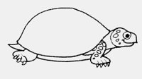 TORTOISE_SMILING.iff