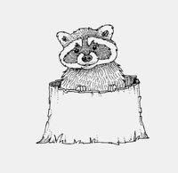 RACCOON_IN_TRUNK.iff