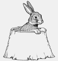 RABBIT_IN_TRUNK.iff
