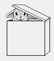 RABBIT_IN_BOX.iff