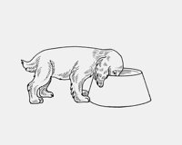 PUPPY_AND_BOWL.iff