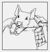 PIG_IN_BASKET.iff