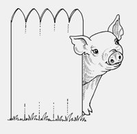PIG_BEHIND_FENCE.iff