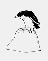 PENGUIN_ON_ICE.iff