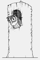OWL_IN_TREE-TRUNK.iff
