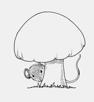 MOUSE_UNDER_MUSHROOM.iff