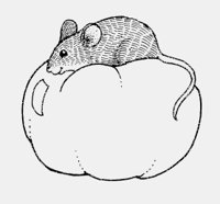 MOUSE_ON_PUMPKIN.iff