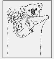 KOALA_BEAR.iff