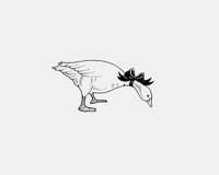 GOOSE_AND_RIBBON.iff