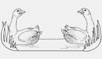 GEESE_SWIMMING.iff