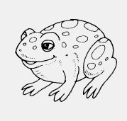 FROG_SMILING.iff