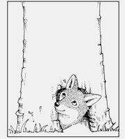 FOX_IN_TRUNK.iff
