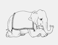 ELEPHANT_KNEELING.iff