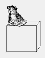 DOG_ON_BOX.iff