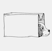 DOG_IN_PAPER_BAG.iff