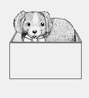 DOG_IN_BOX.iff
