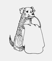 DOG_CARRYING_BASKET.iff