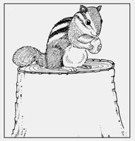 CHIPMUNK_ON_TRUNK.iff