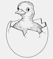 CHICK_IN_EGGSHELL2.iff