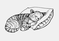 CAT_SLEEPING_ON_PILLOW.iff