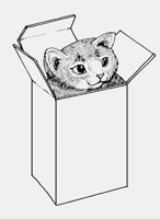 CAT_IN_BOX.iff
