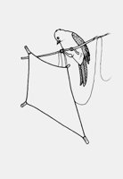 BIRD_WITH_KITE.iff