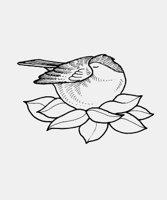 BIRD_SLEEPING.iff