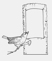 BIRD_AND_TREE_NOTICE.iff