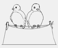 BIRDS_ON_WASHING_LINE.iff