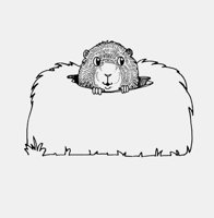 BEAVER_IN_MUDHOLE.iff