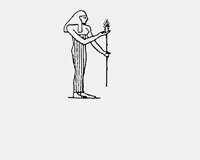 VIRGO.LBM