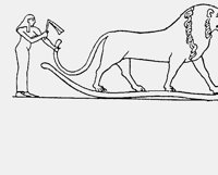 LEO.LBM