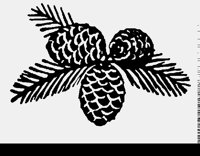 PINECONE.LBM