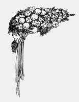 BOUQUETI.LBM
